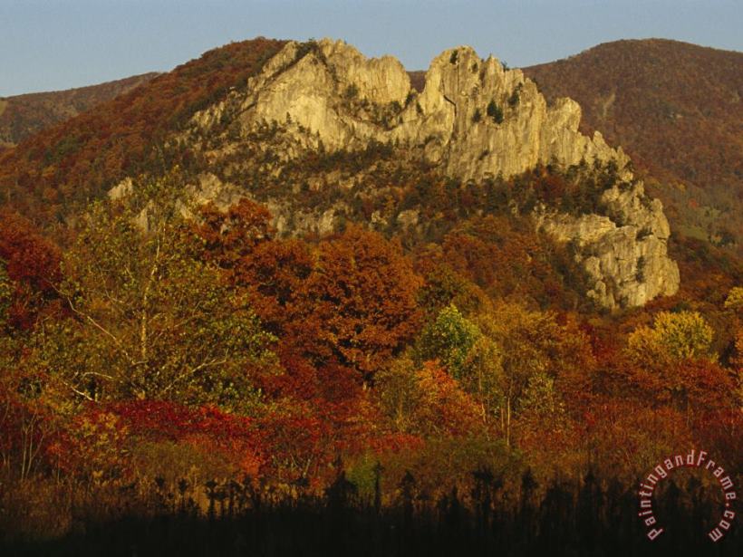 Raymond Gehman Seneca Rocks 900 Feet High with Trees in Autumn Hues Art Print
