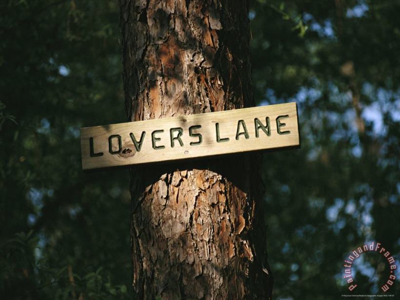Sign on a Tree Marks Lovers Lane painting - Raymond Gehman Sign on a Tree Marks Lovers Lane Art Print