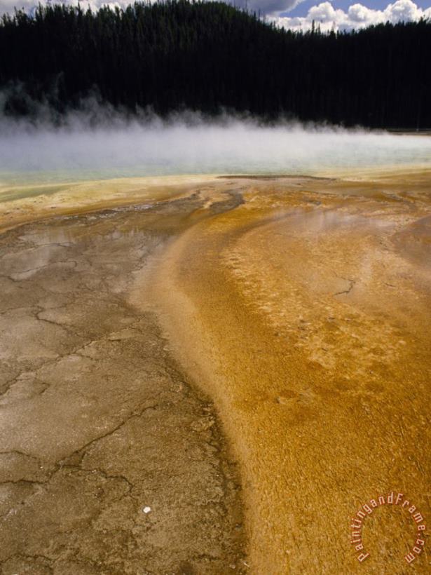 Raymond Gehman Steam Rises From Grand Prismatic Largest of Yellowstone S Thermal Springs Art Painting