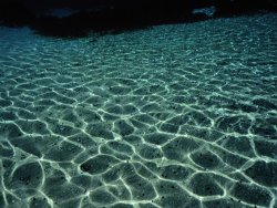 Raymond Gehman Sunlight Reflected in The Water