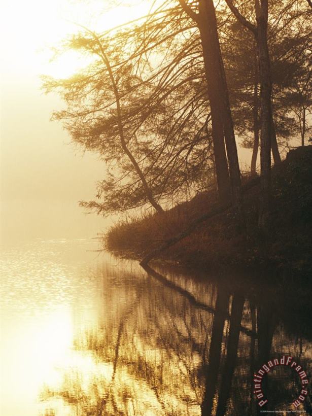 Raymond Gehman Sunrise on Otter Lake in The George Washington National Forest Art Print