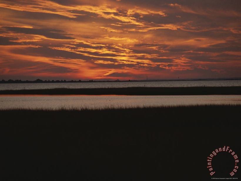 Raymond Gehman Sunset Over a Salt Marsh with Cordgrass Art Painting