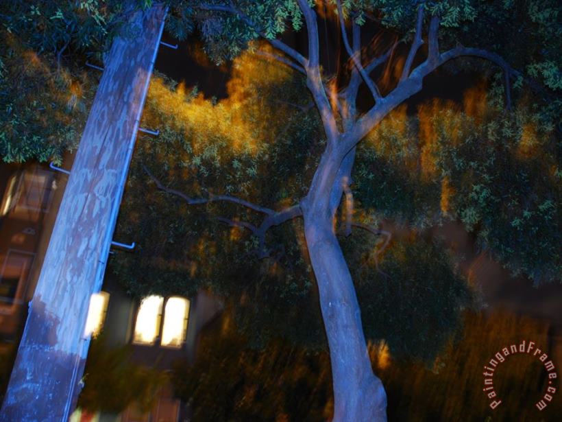 Telephone Pole And Tree Along a City Street at Night in San Francisco painting - Raymond Gehman Telephone Pole And Tree Along a City Street at Night in San Francisco Art Print