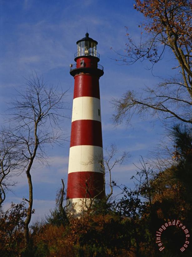 Raymond Gehman The Assateague Island Lighthouse Against a Blue Sky Art Painting