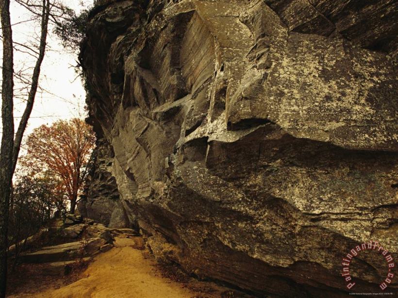The Trail at The Foot of Raven Rock 150 Foot Tall Quartzite Rock painting - Raymond Gehman The Trail at The Foot of Raven Rock 150 Foot Tall Quartzite Rock Art Print