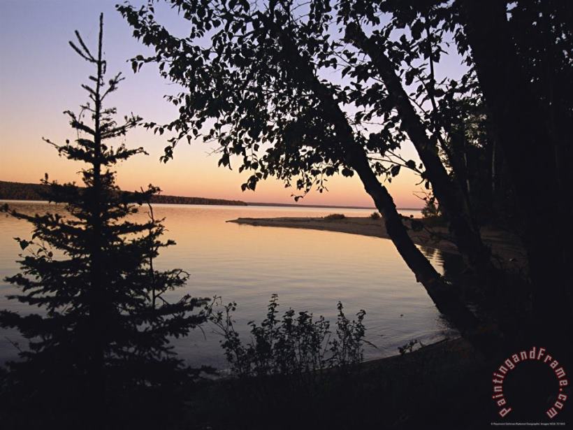 Trees Stand Silhouetted Against Waskesiu Lake at Sunset painting - Raymond Gehman Trees Stand Silhouetted Against Waskesiu Lake at Sunset Art Print