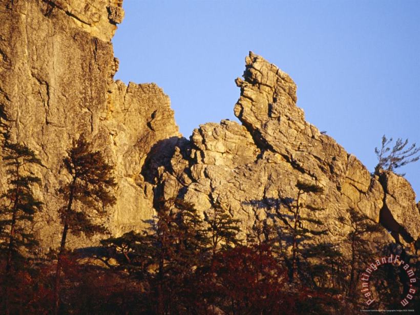 Tuscarora Quartzite Seneca Rocks painting - Raymond Gehman Tuscarora Quartzite Seneca Rocks Art Print