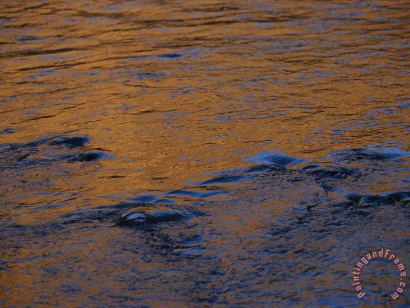 Raymond Gehman Twilight Sun Reflects on The Waters of The Madison River Art Painting