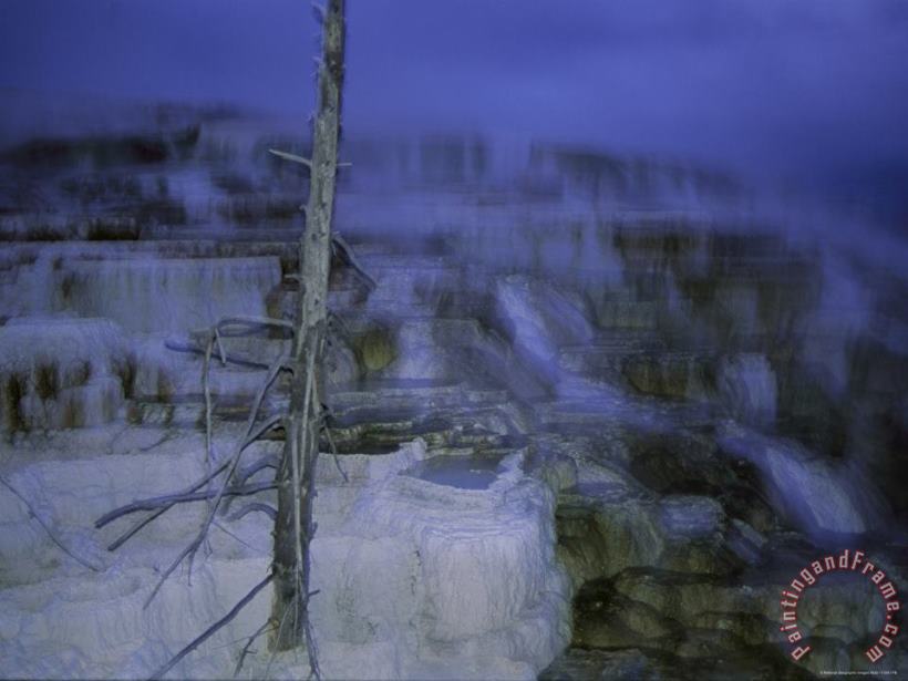 Raymond Gehman Twilight Winter View of Mammoth Hot Springs Art Painting
