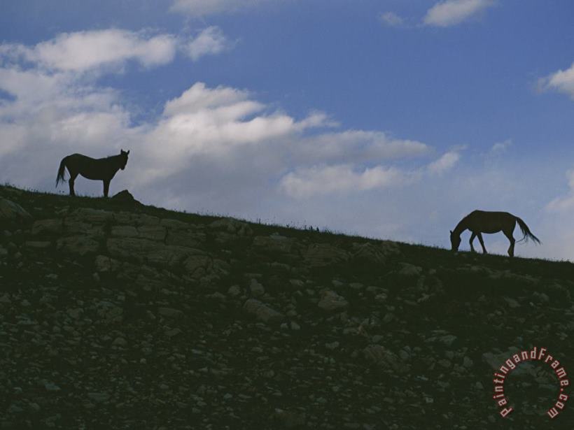 Raymond Gehman Two Wild Horses Are Silhouetted by The Setting Sun Art Print