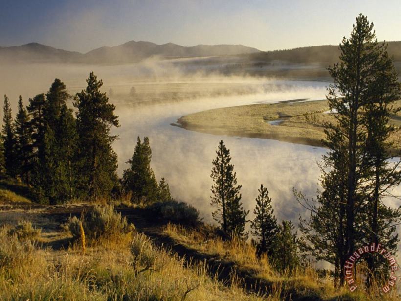Veiled in Morning Mist The Yellowstone River Winds Through Hayden Valley painting - Raymond Gehman Veiled in Morning Mist The Yellowstone River Winds Through Hayden Valley Art Print