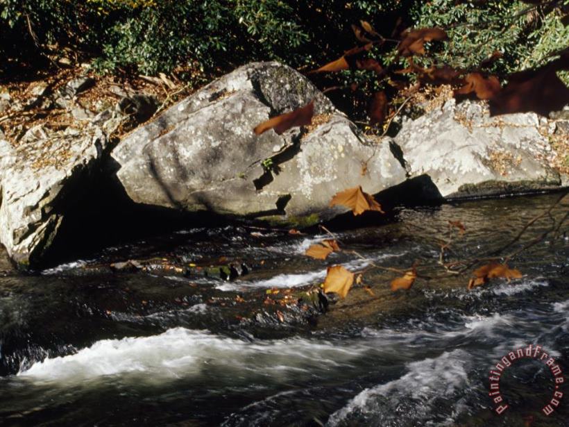 Water Rushing Past Boulders Along The Banks of The Nantahala River painting - Raymond Gehman Water Rushing Past Boulders Along The Banks of The Nantahala River Art Print