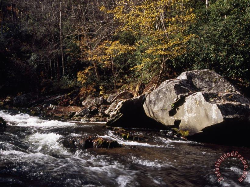 Raymond Gehman Water Rushing Through an Autumn Scene in The Nantahala River Gorge Art Painting