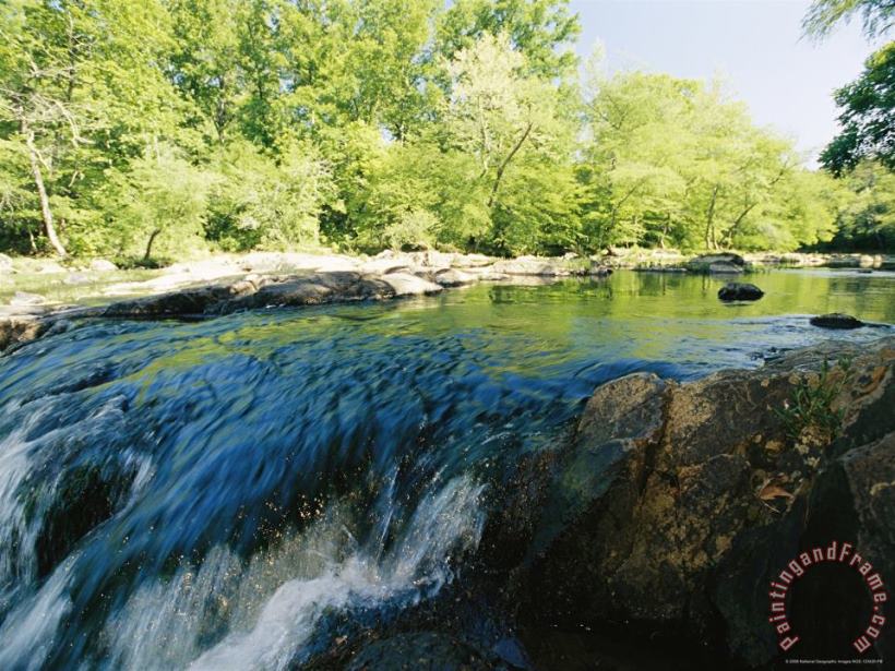 Raymond Gehman Waterfalls on The Eno River Passing Through a Hardwood Forest Art Painting