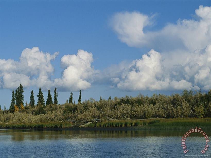 Raymond Gehman White Clouds Form Above The Mackenzie River Delta Art Painting