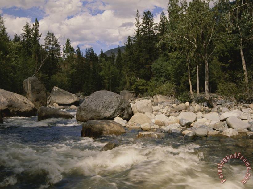 Raymond Gehman White Water Rapids Roll Over Rocks in a River Running Through Woods Art Print