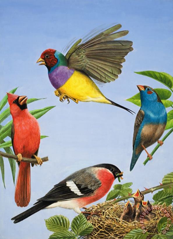 Tropical Birds painting - RB Davis Tropical Birds Art Print