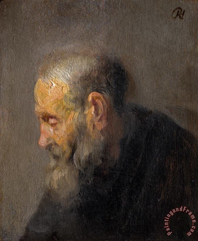 Rembrandt Harmensz van Rijn Study of an Old Man in Profile Art Painting