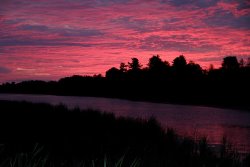 Richard De Wolfe Dawn Glory