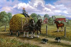 Richard De Wolfe Heading for the Loft