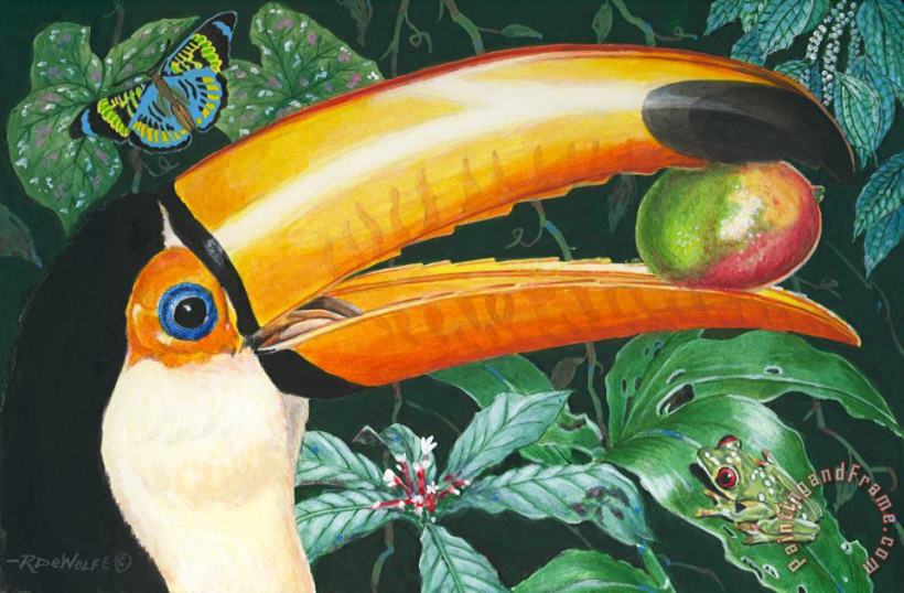Tropical Rain Forest Toucan painting - Richard De Wolfe Tropical Rain Forest Toucan Art Print