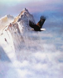 Robert Foster - Mountain Majesty painting
