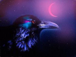 Robert Foster Red Moon Raven