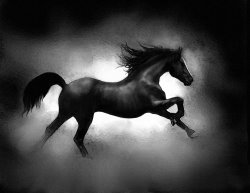 Robert Foster Running Horse