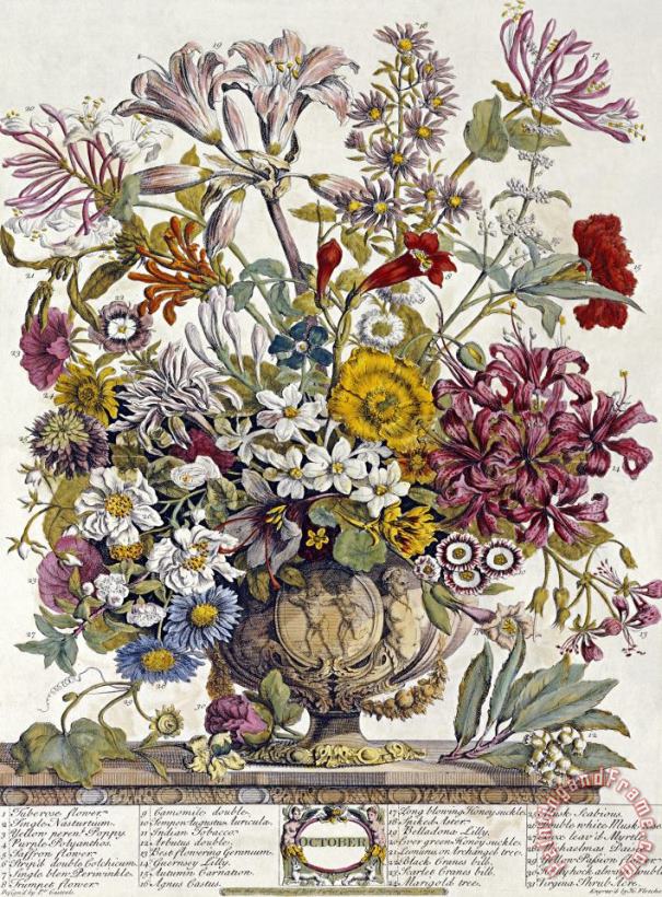 Robert Furber October Twelve Months of Flowers Art Print