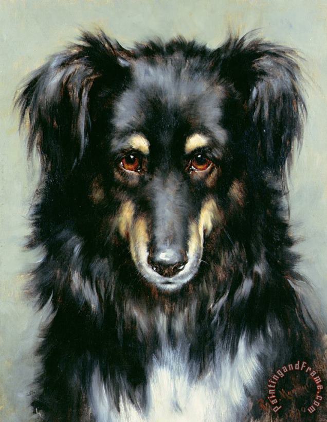 Robert Morley A Black and Tan Collie Art Painting