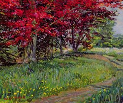 Robert Tyndall Copper Beeches New Timber Sussex