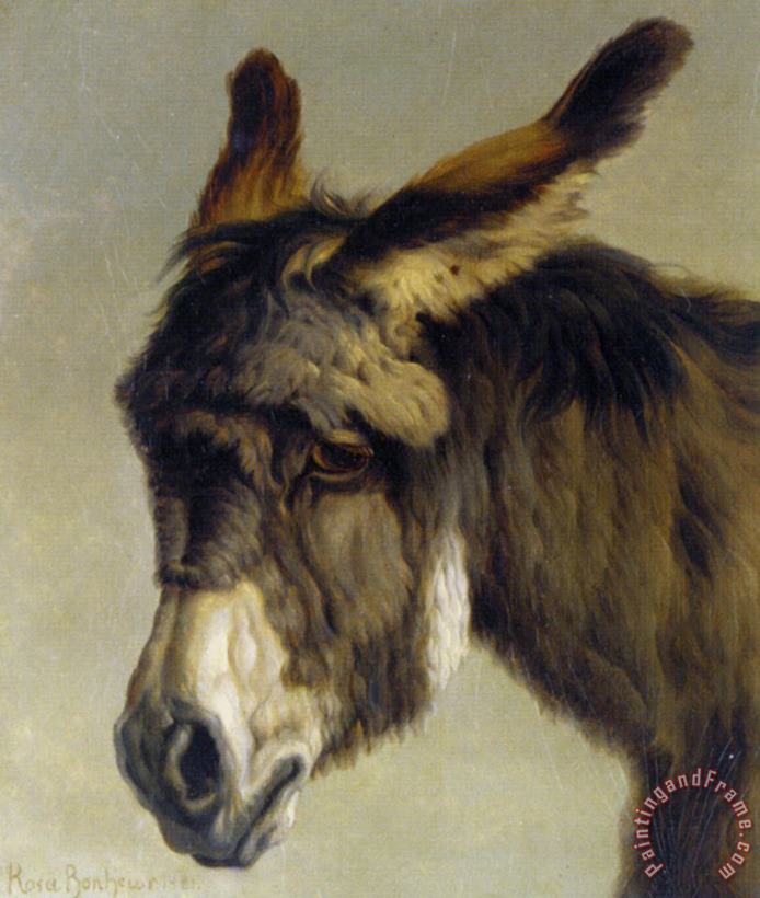 Rosa Bonheur Head of a Donkey Art Painting