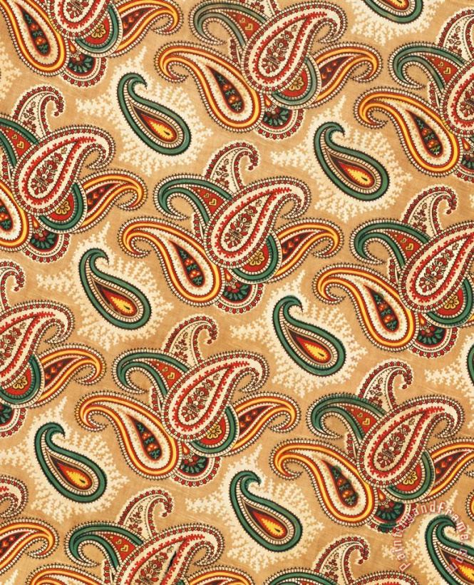 Paisley Patterned Lining Of An Abr Ikat Munisak painting - Russian School Paisley Patterned Lining Of An Abr Ikat Munisak Art Print