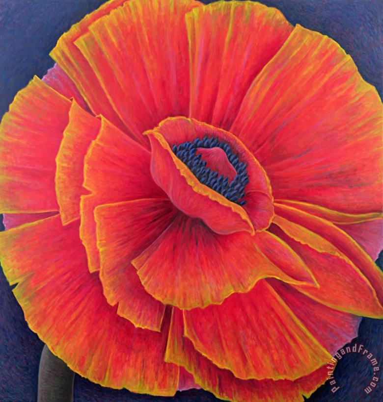 Big Poppy painting - Ruth Addinall Big Poppy Art Print