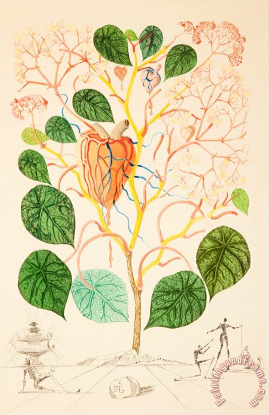 Begonia (anacardium Recordans), From Flordali, 1968 painting - Salvador Dali Begonia (anacardium Recordans), From Flordali, 1968 Art Print
