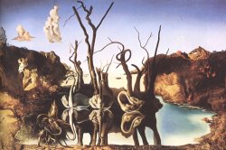 Salvador Dali Cygnes Refletant Des Elephants