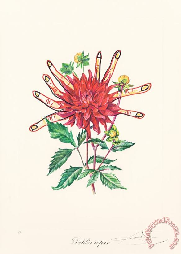 Salvador Dali Florals (surrealist Flowers), 1972 Art Painting