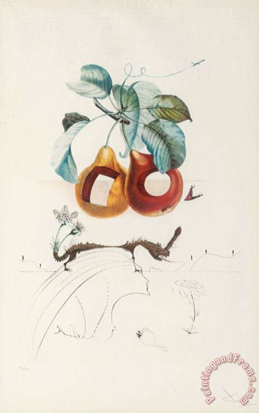 Fruits Trouees (fruit with Holes), From Les Fruits painting - Salvador Dali Fruits Trouees (fruit with Holes), From Les Fruits Art Print