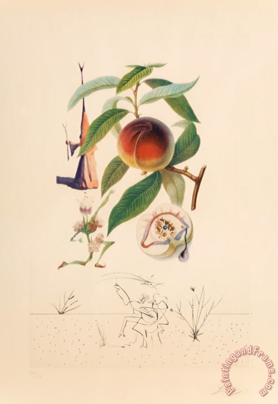 Salvador Dali Pecheur Penitant, From Flor Dali Les Fruits, 1969 Art Print