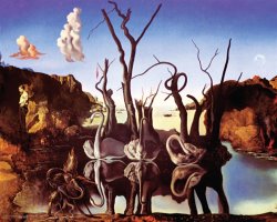Salvador Dali Reflection of Elephants