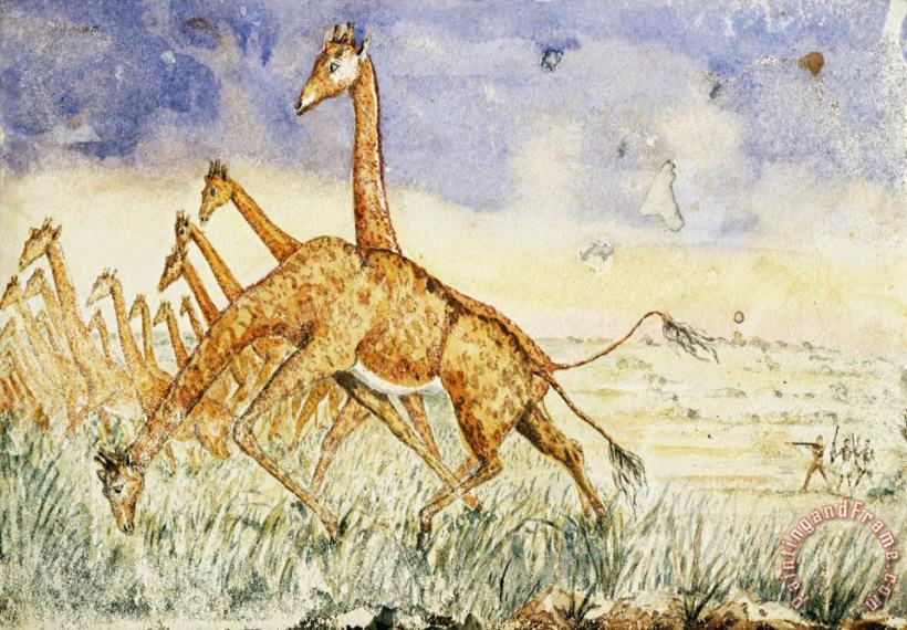 Samuel Henry Baker The First Rush of The Giraffes Art Painting