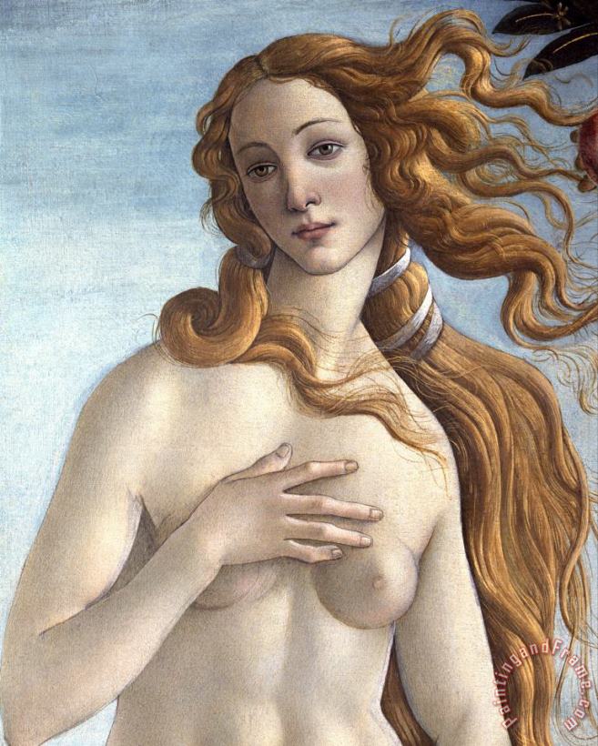 The Birth of Venus painting - Sandro Botticelli The Birth of Venus Art Print