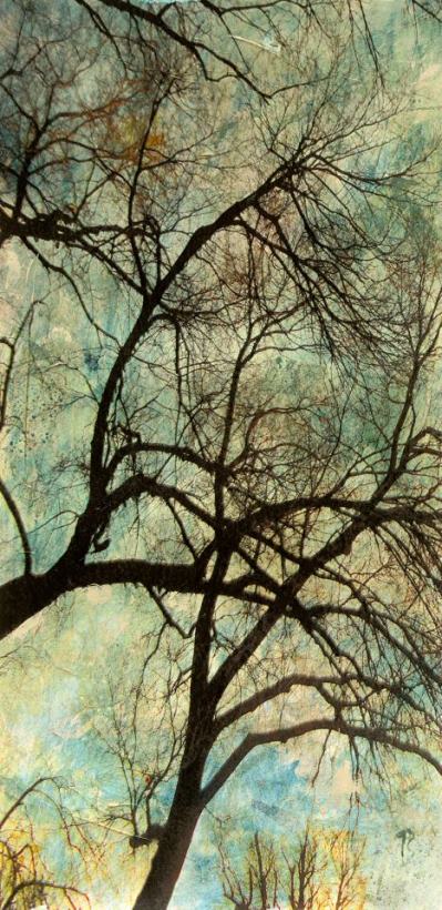Sara Abbott Abstract Trees VI Art Painting
