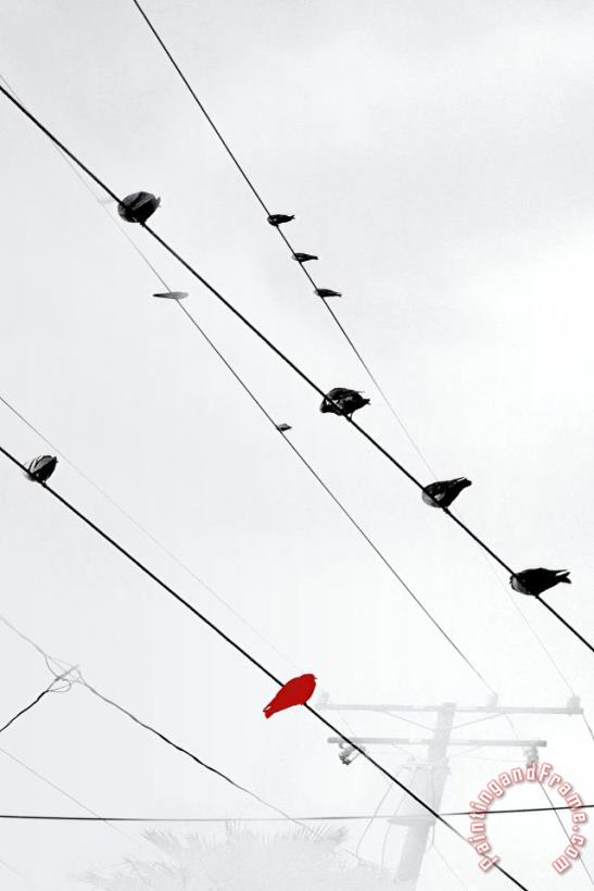 Sara Abbott Birds on a Wire II Art Painting