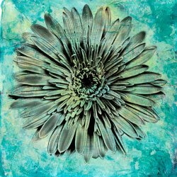 Sara Abbott Evoke IV