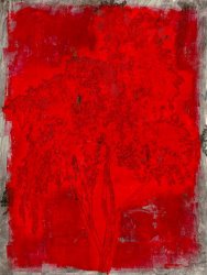 Sara Abbott Rutherford Crossroad I