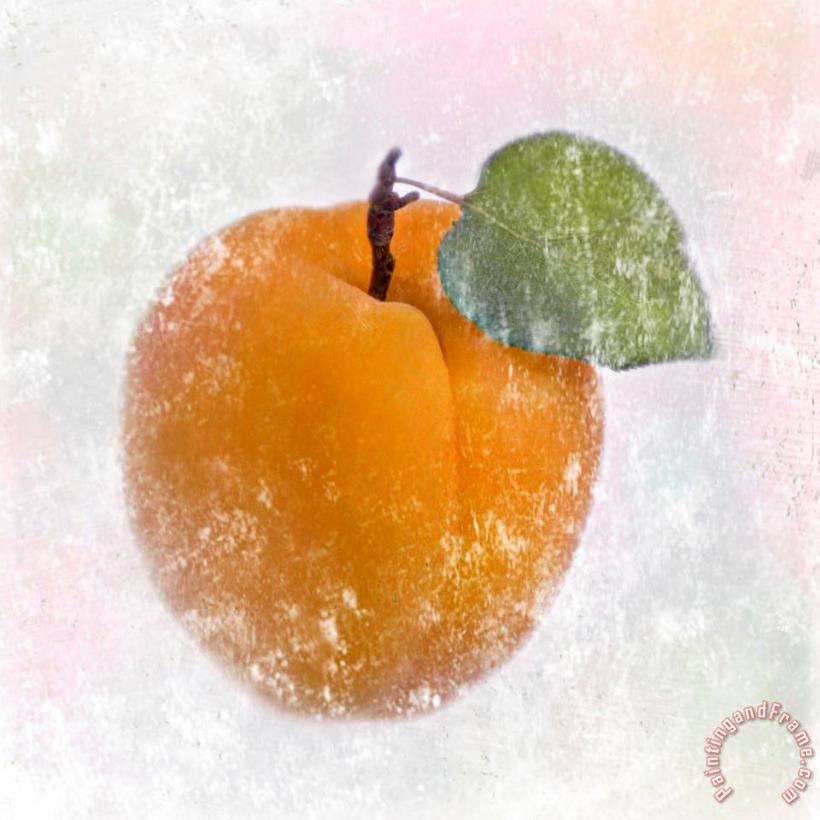 Apricot painting - Sia Aryai Apricot Art Print