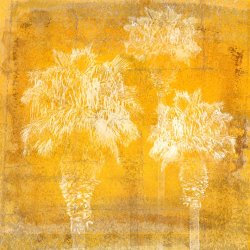 Sia Aryai California II