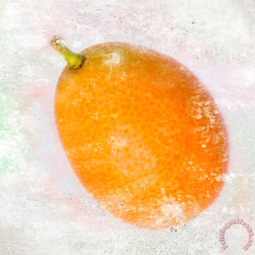 Kumquat painting - Sia Aryai Kumquat Art Print