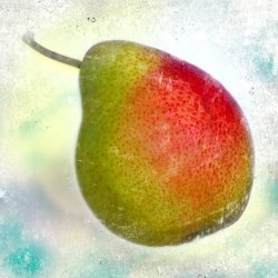 Sia Aryai Pear